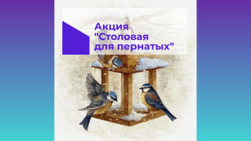 Городская акция "Столовая для пернатых 2024" Городская акция "Столовая для пернатых 2024".